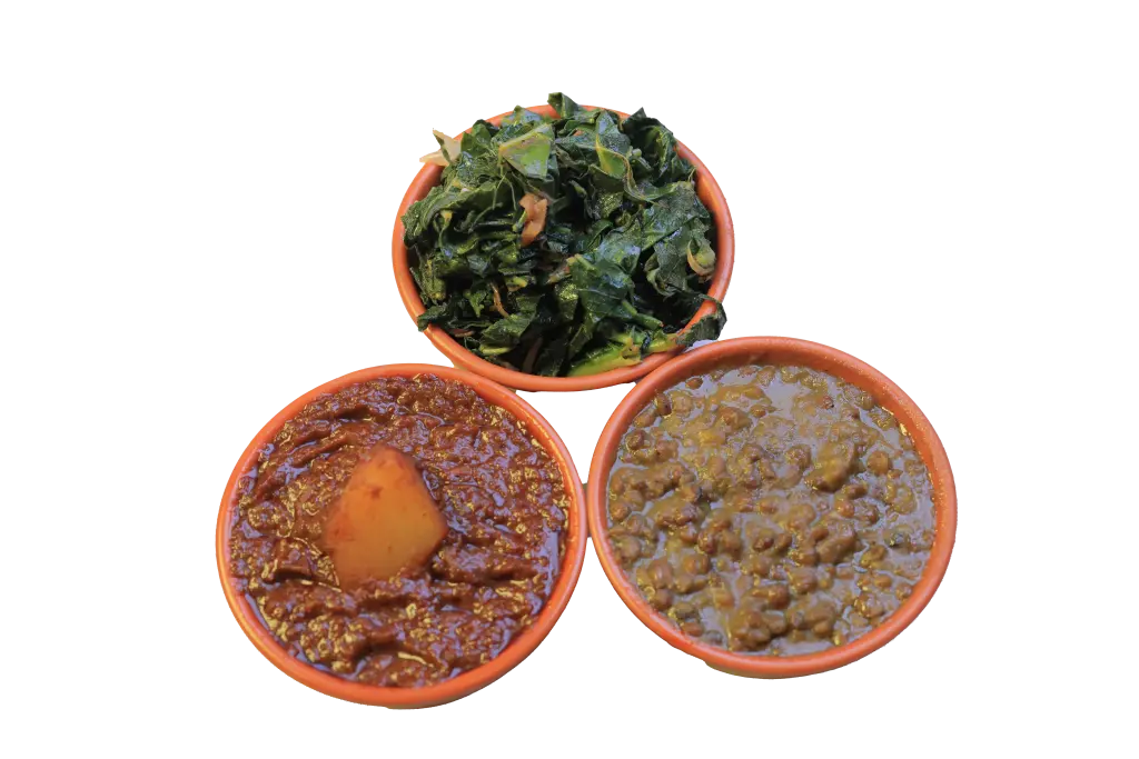 [Pro-0011-25] Akkoo Fasting 3